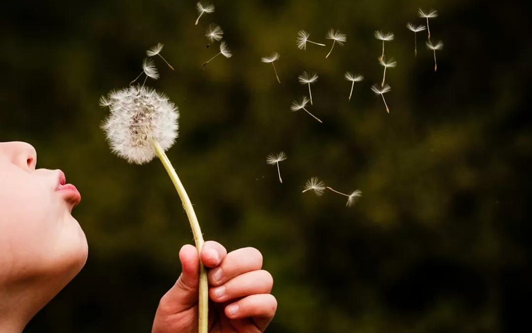 What Story are You Telling Yourself?