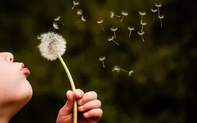 What Story are You Telling Yourself?