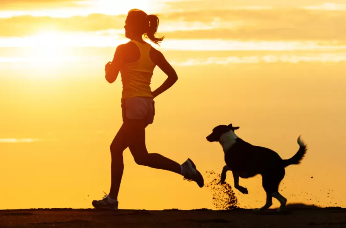 a man walking a dog down a dirt road